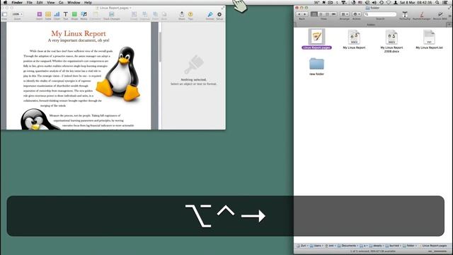 Saving and Renaming in Linux Mint, Windows, OS X смотреть онлайн