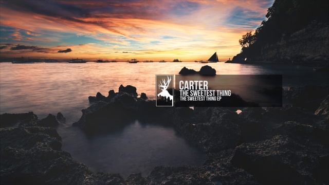 Carter - The Sweetest Thing