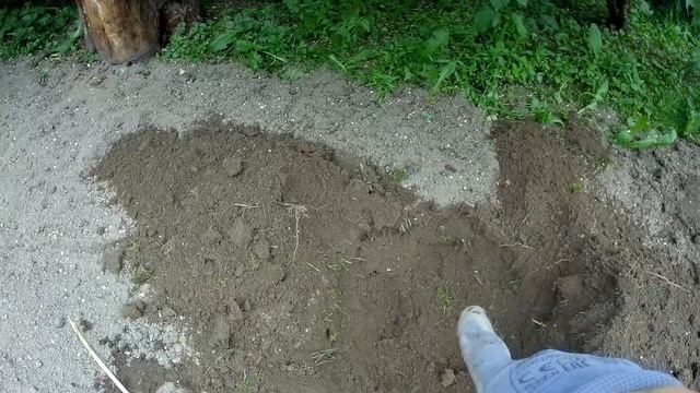 Вечнозелёные рододендроны / Посадка смотреть онлайн