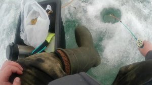 Приехали на Успенку а на речке Порос нету льда . Поехали в Ташару на Обь на лодочную станнцию полови