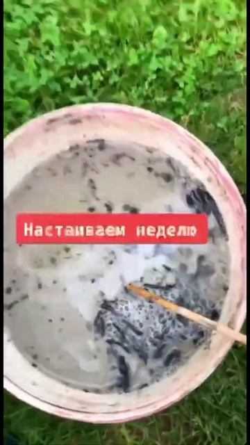 БЕСЦЕННОЕ УДОБРЕНИЕ ИЗ ЗОЛЫ! НАСТОЙ ИЗ ЗОЛЫ
