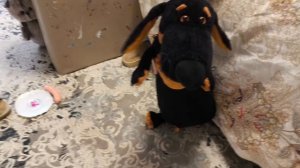 Дети это святое☺ 👧👦🤣Кот Панфирий 😻