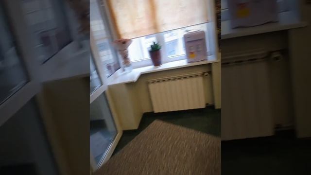 Адрес который Вы будете называть с гордостью . 4 Квартира ул.Пушкинская смотреть онлайн