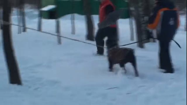 Занятие 06.02.10 продолжение.wmv смотреть онлайн
