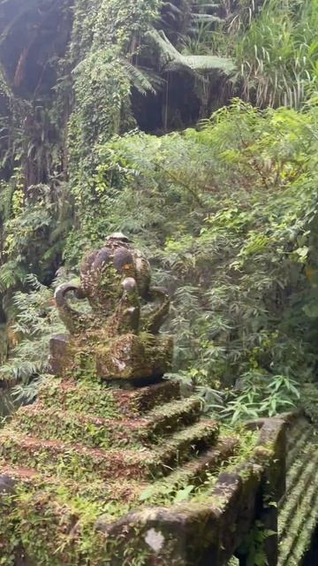 Бали храм не помню