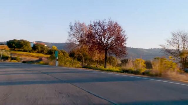 Porsche Cayman 718 T 2020 Racing Yellow Manual Driving Scene смотреть онлайн