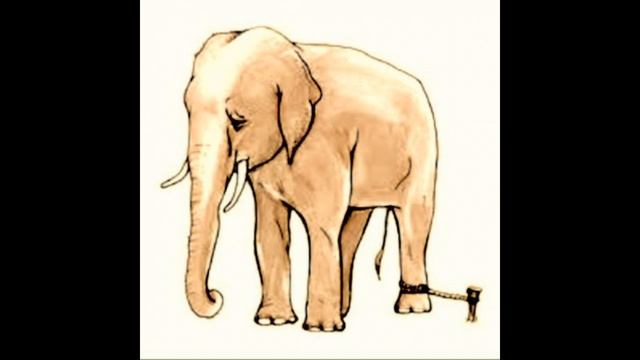 Стоит ли? Развитие и реальность. смотреть онлайн