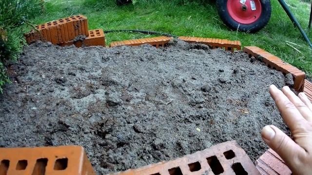 Можжевельники Dream Joy, Old Gold/ посадка Английские РОЗЫ весенней посадки из Питомников смотреть онлайн