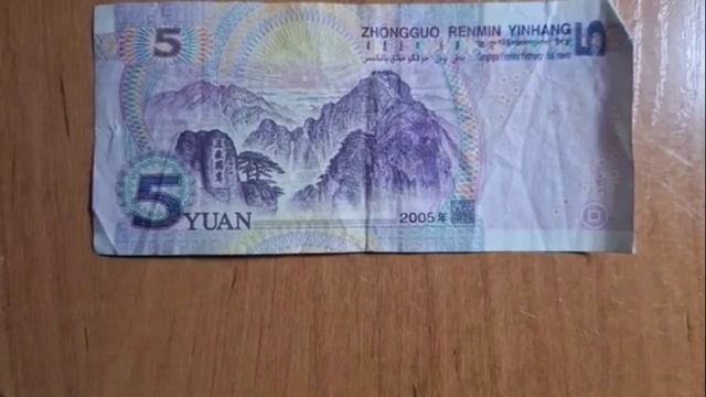 Шевченко Полина_Юань