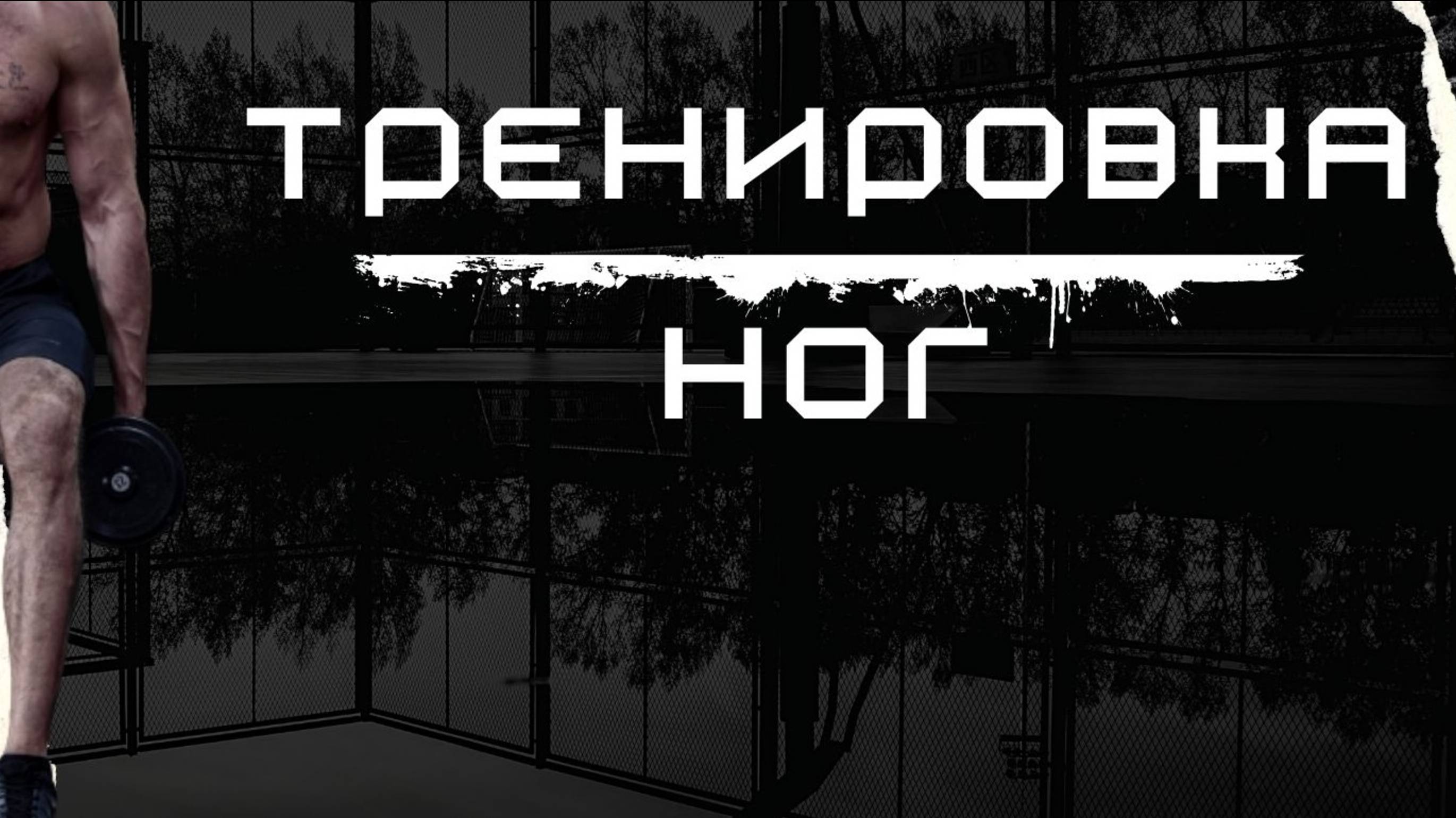 Неделя 8: Прокачка Ног и Плеч — Всё, Что Нужно для Роста