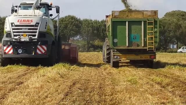 TRITICALE 2018 CLAAS JAGUAR 870 + CAPELLO SPARTAN 520 смотреть онлайн