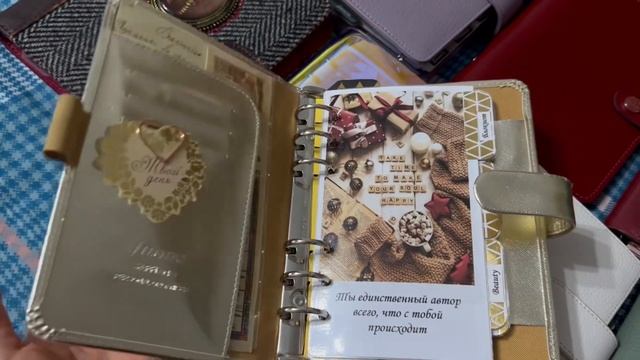 Обзор всех моих планеров! My planner’s collection! смотреть онлайн