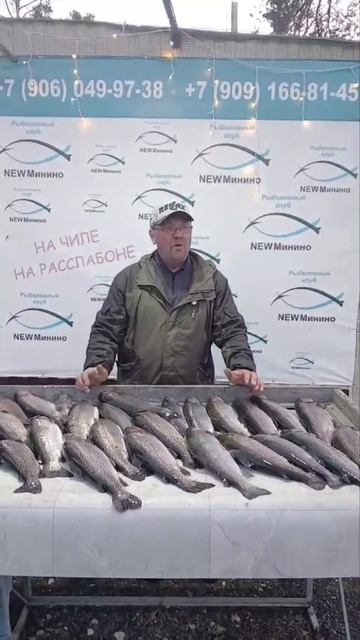 улов нашего гостя смотреть онлайн