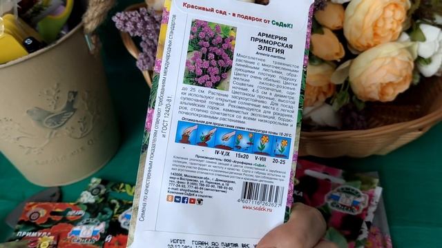 Подарила мужу гиацинтыНовые семена цветовПетуния растёт как на дрожжахЗачем мне паяльник смотреть онлайн