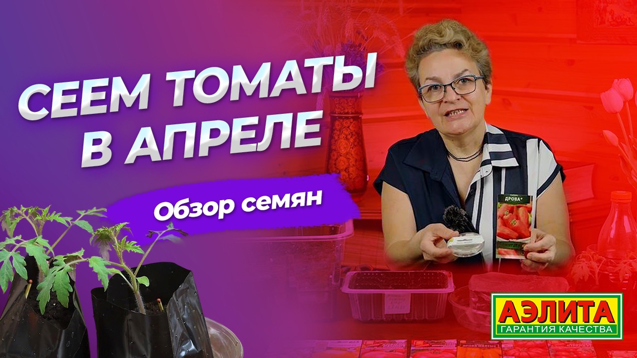 ПОСЕВ ТОМАТОВ В АПРЕЛЕ - НЕ ПОЗДНО! Обзор семян томатов со сроком созревания менее 100 дней! смотреть онлайн