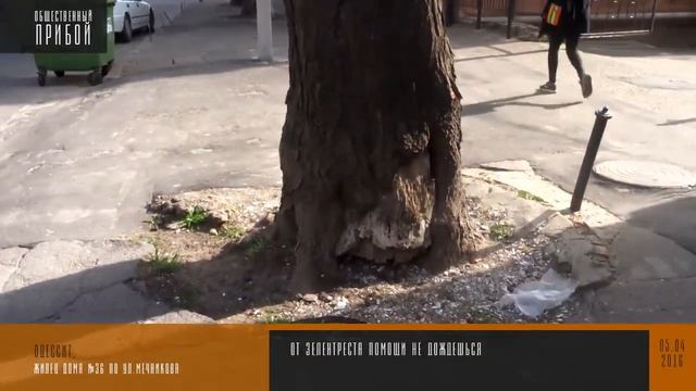 От зелентреста помощи не дождешься смотреть онлайн