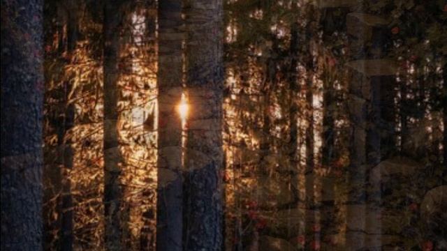 Enigma Callas Went Away смотреть онлайн