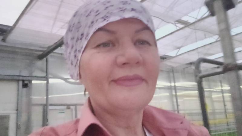 Всем привет! Вышла на связь! смотреть онлайн