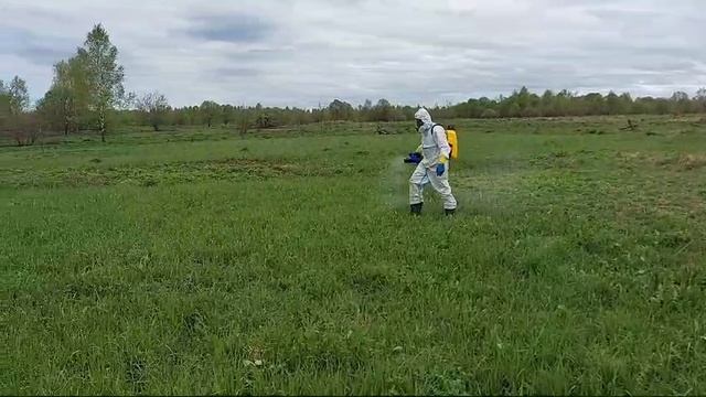 Клещи больше не атакуют. Эффективный способ не бояться за близких и питомцев