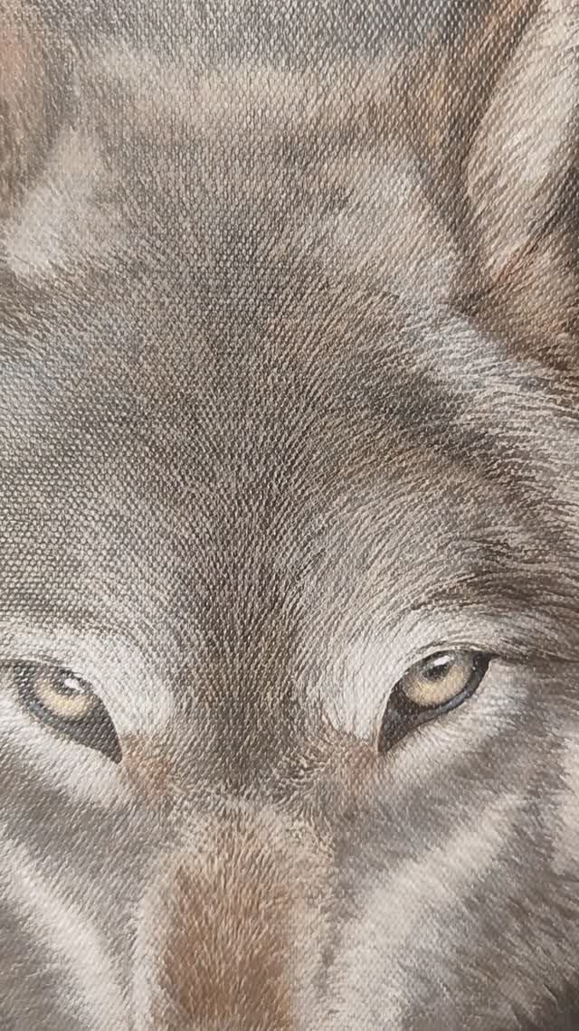 #Волк #акрилом #живопись #арт