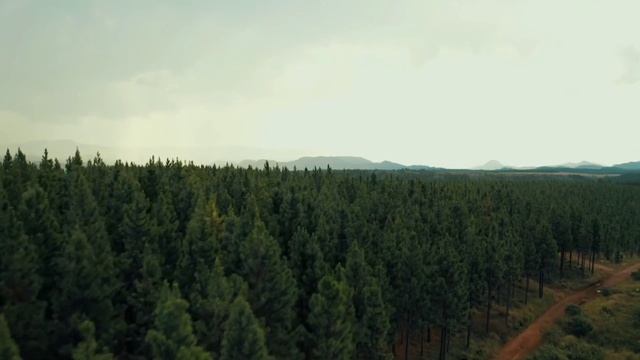 Natural Scene With Drone Footage/8K Video