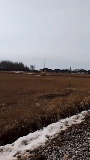 2618 смотреть онлайн