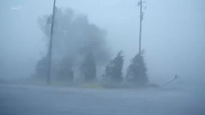 Шум тайфуна. Сильный ветер и дождь. Звуки для сна