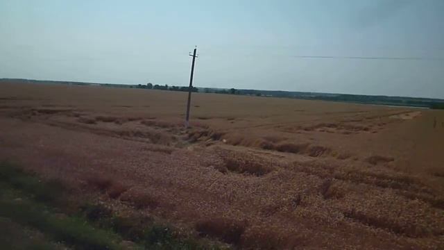 Едем на поле (уборочная 2016) смотреть онлайн