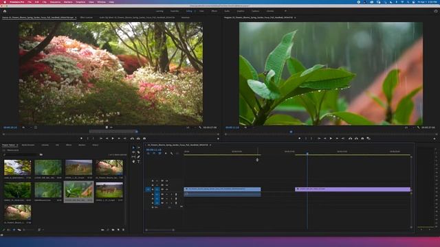 Intro to Adobe Premiere Pro смотреть онлайн