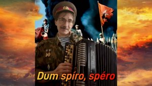 Новогоднее желание