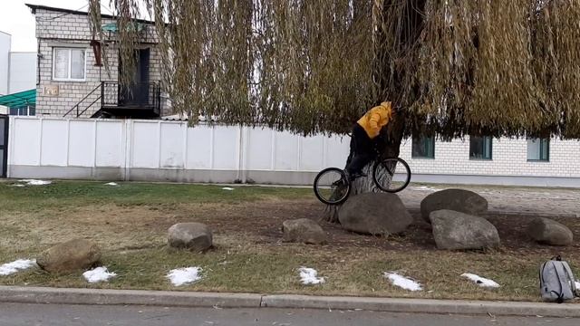 Dikiy Trial 26.11.2023 - Жалкие попытки смотреть онлайн