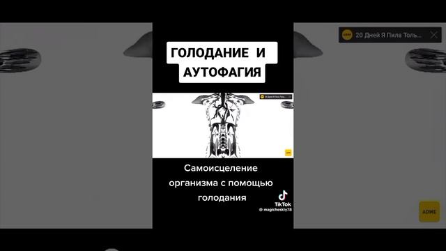 Голодание полезно! смотреть онлайн