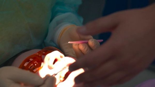 GreenMED обучение в клинике МедЛюкс