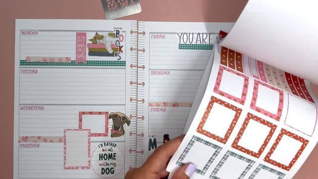 Plan With Me | Custom Patreon Spreads for Darla & Donna смотреть онлайн
