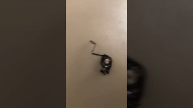 Пытаюсь починить iPhone 5s часть 4 смотреть онлайн