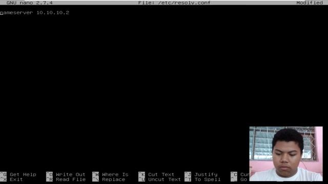 tutorial shared hosting server debian9 | bind9 apache2 смотреть онлайн