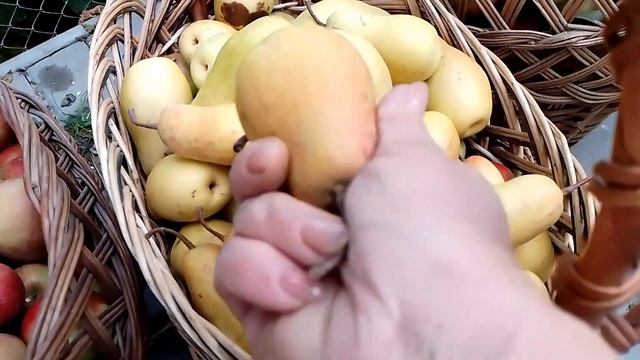 Натуральний яблучний сік. Як зробити вдома. смотреть онлайн