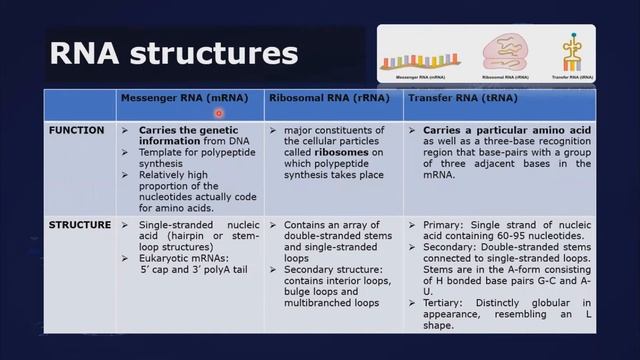 The Central Dogma of Life - Part 2 смотреть онлайн
