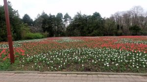 Краснодар, ботанический сад