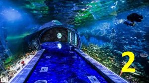 Океанариум в Крокус Сити (Москва, 66-й км МКАД, ст. м. Мякинино). Часть 2 - Моря и океаны