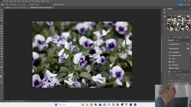 Don't color manage this document. That's crazy! смотреть онлайн
