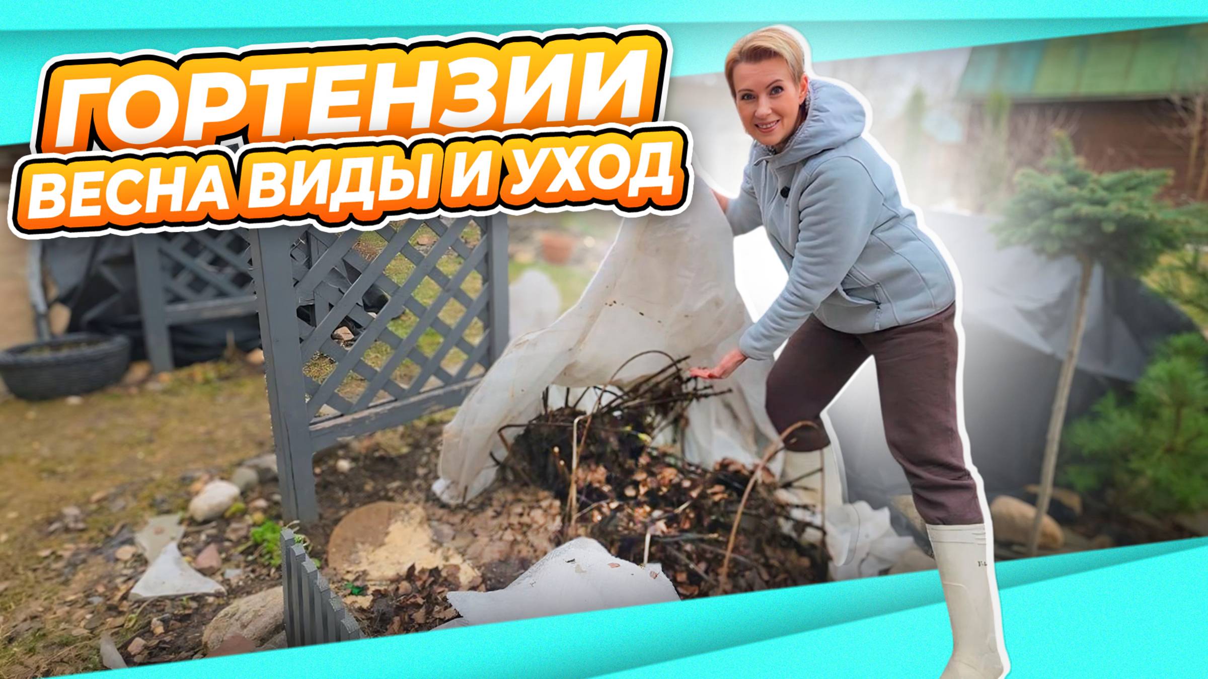 дача 1 апреля | открыла крупнолистную гортензии | о видах гортензий | прогулка по саду смотреть онлайн