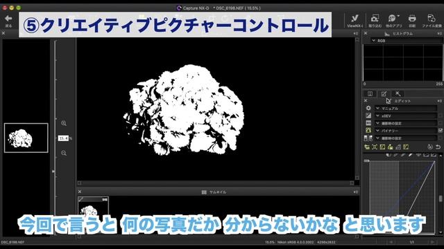 【紫陽花写真】2つの手順で背景を黒一色にするRAW現像 [Capture NX-D] смотреть онлайн