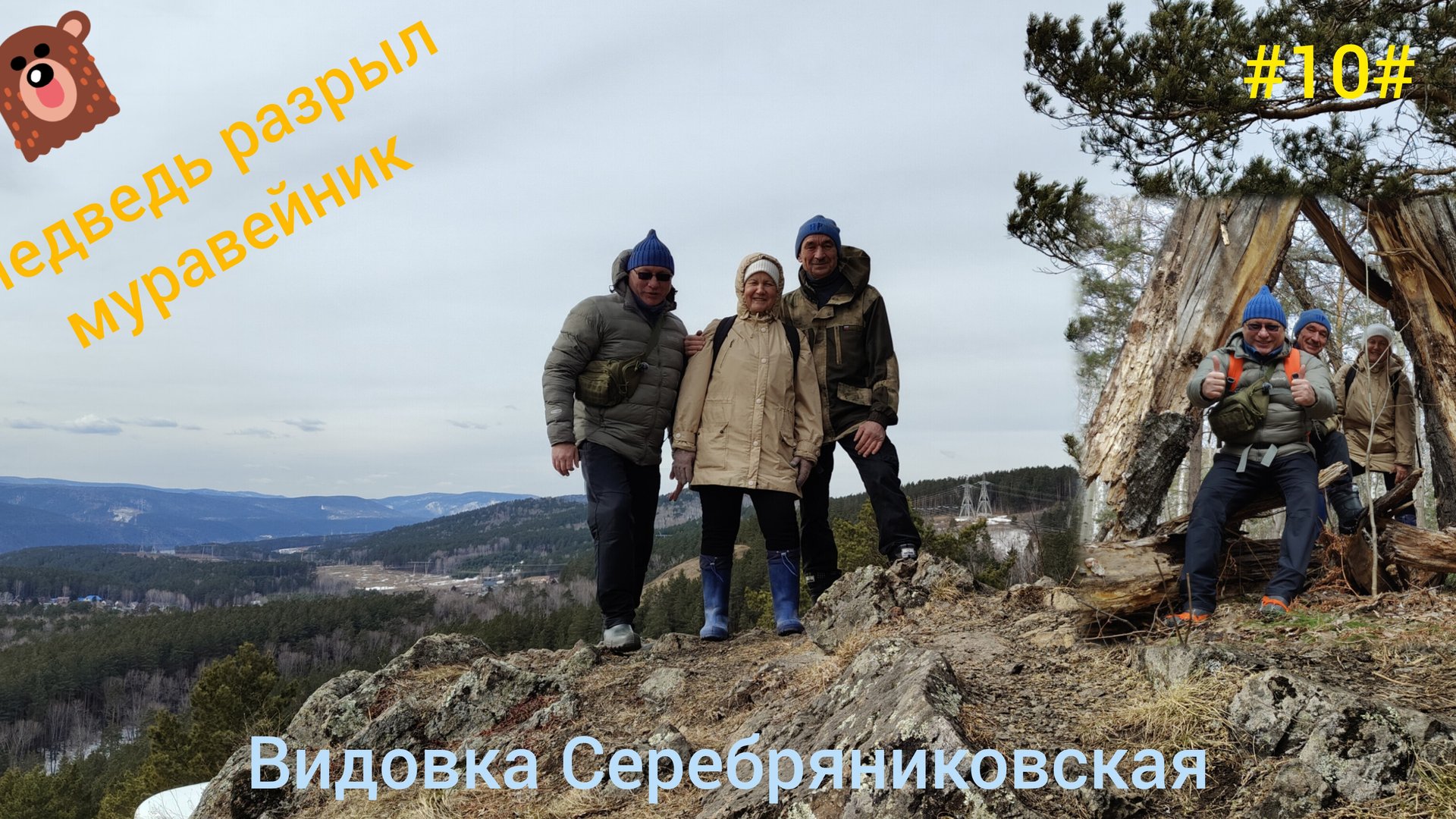 Поход на серебряную видовку. Медведь разрыл два муравейника. смотреть онлайн