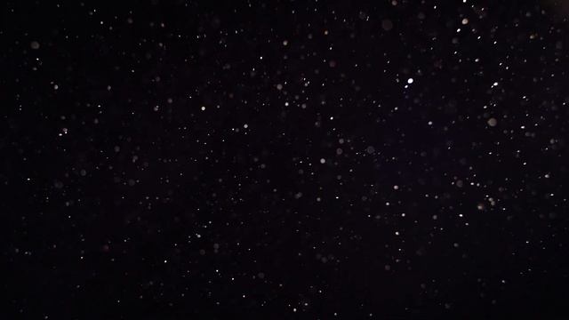 Dust Particles pack, overlay background for After Effects and Adobe Premiere [FREE DOWNLOAD] смотреть онлайн
