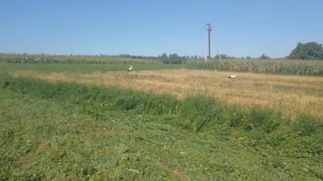 саморобна коса на міні трактор. смотреть онлайн