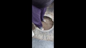 Бассейн из Колеса