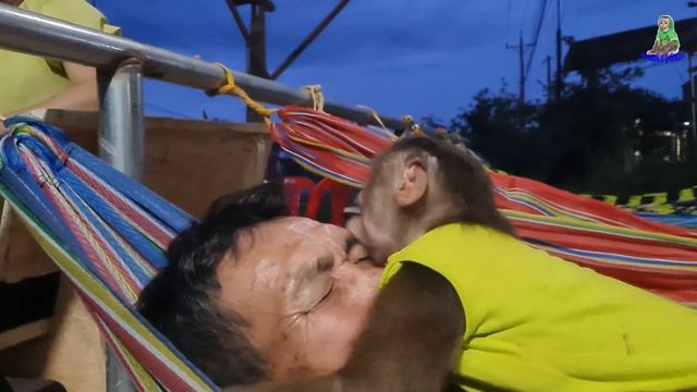 Smart Monkey Baby Loves Sugarcane Juice смотреть онлайн