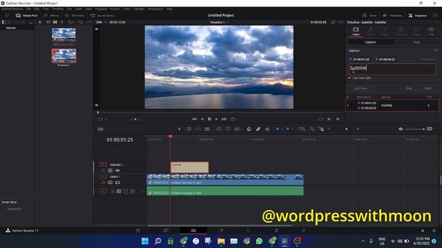 How to add subtitles in Davinci resolve смотреть онлайн