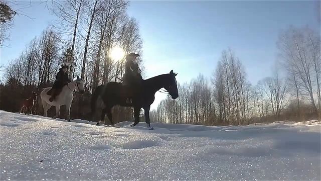 Верховые прогулки в стиле Драбант